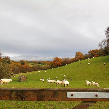 Gwilym'S Stable Appartement Builth Wells Buitenkant foto