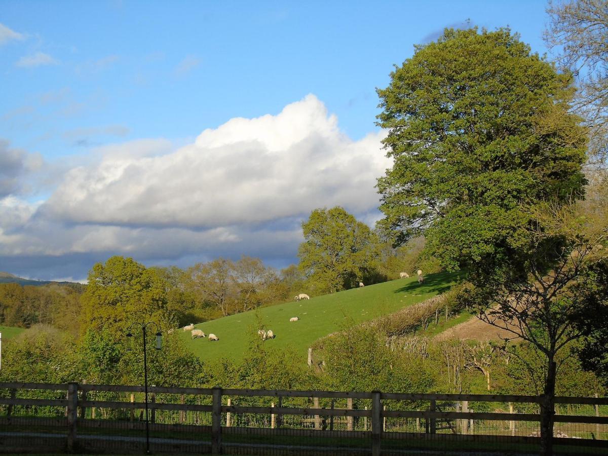 Gwilym'S Stable Appartement Builth Wells Buitenkant foto