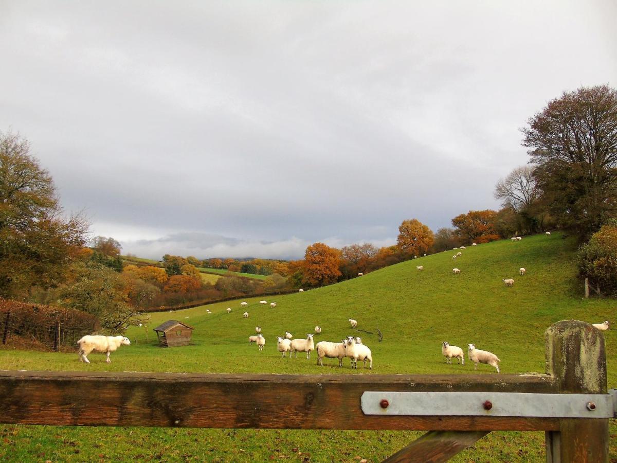 Gwilym'S Stable Appartement Builth Wells Buitenkant foto